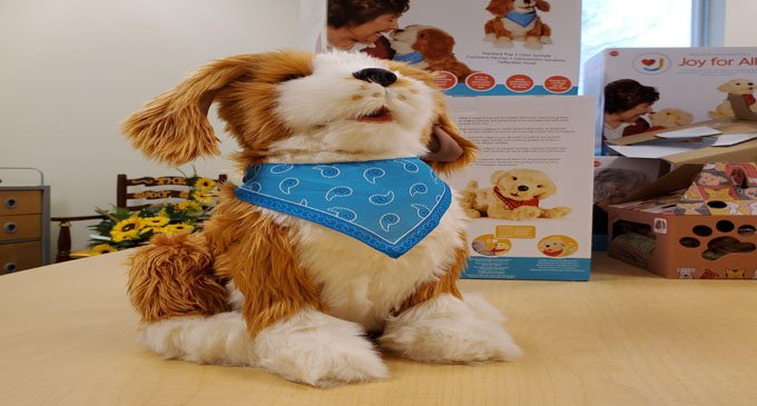 Senior Services shares companionship with seniors through  Automated Pets Initiative